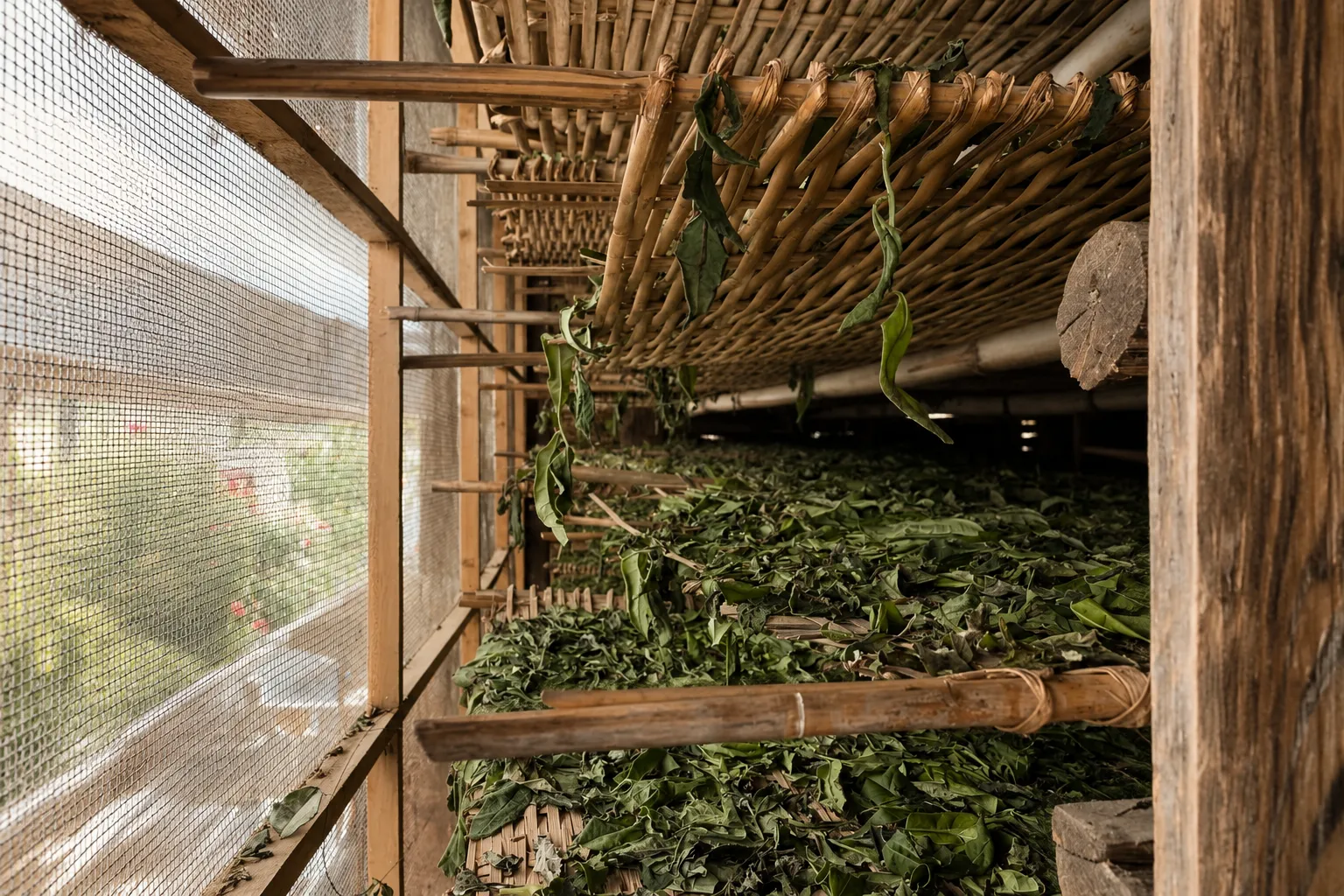 Generated conceptual Gudaye visual; not a documentary photograph